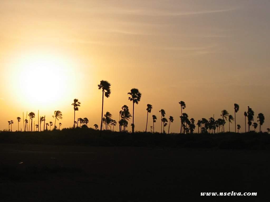 Sai Holiday Inn Jaffna Extérieur photo